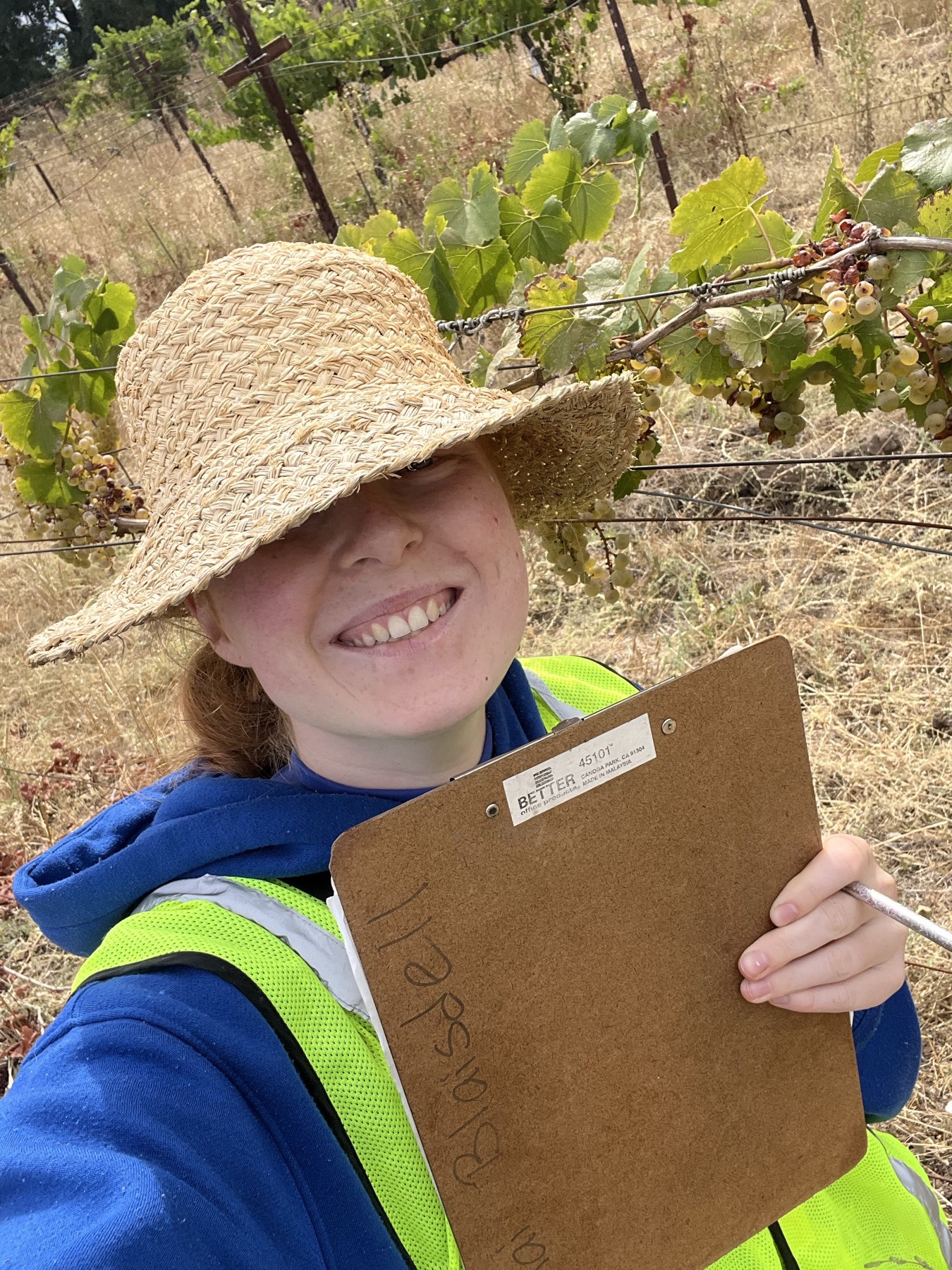 Claire-Catherine in a straw hat among ripening grapes