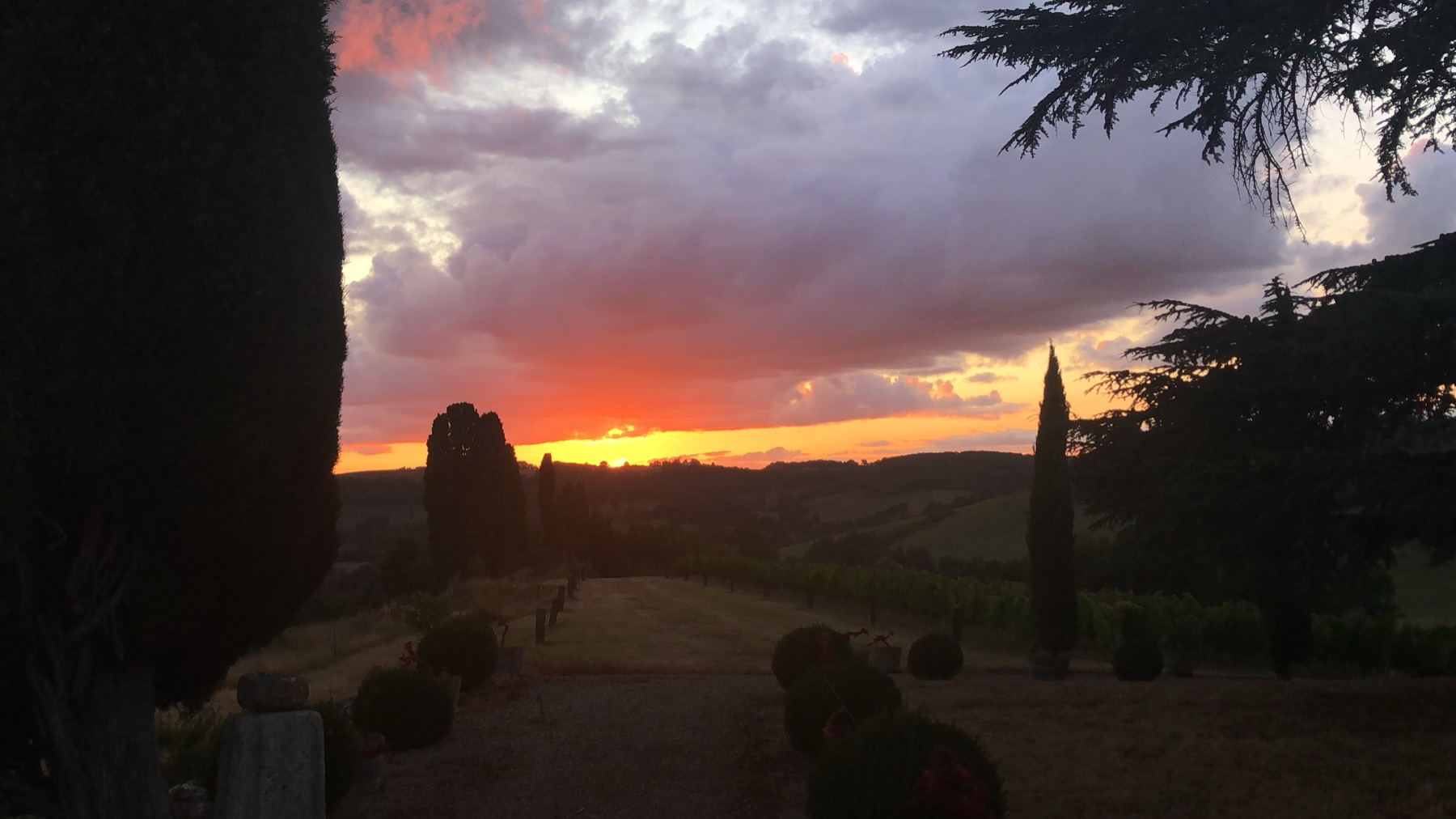 Sunset over a vineyard estate in south-west France