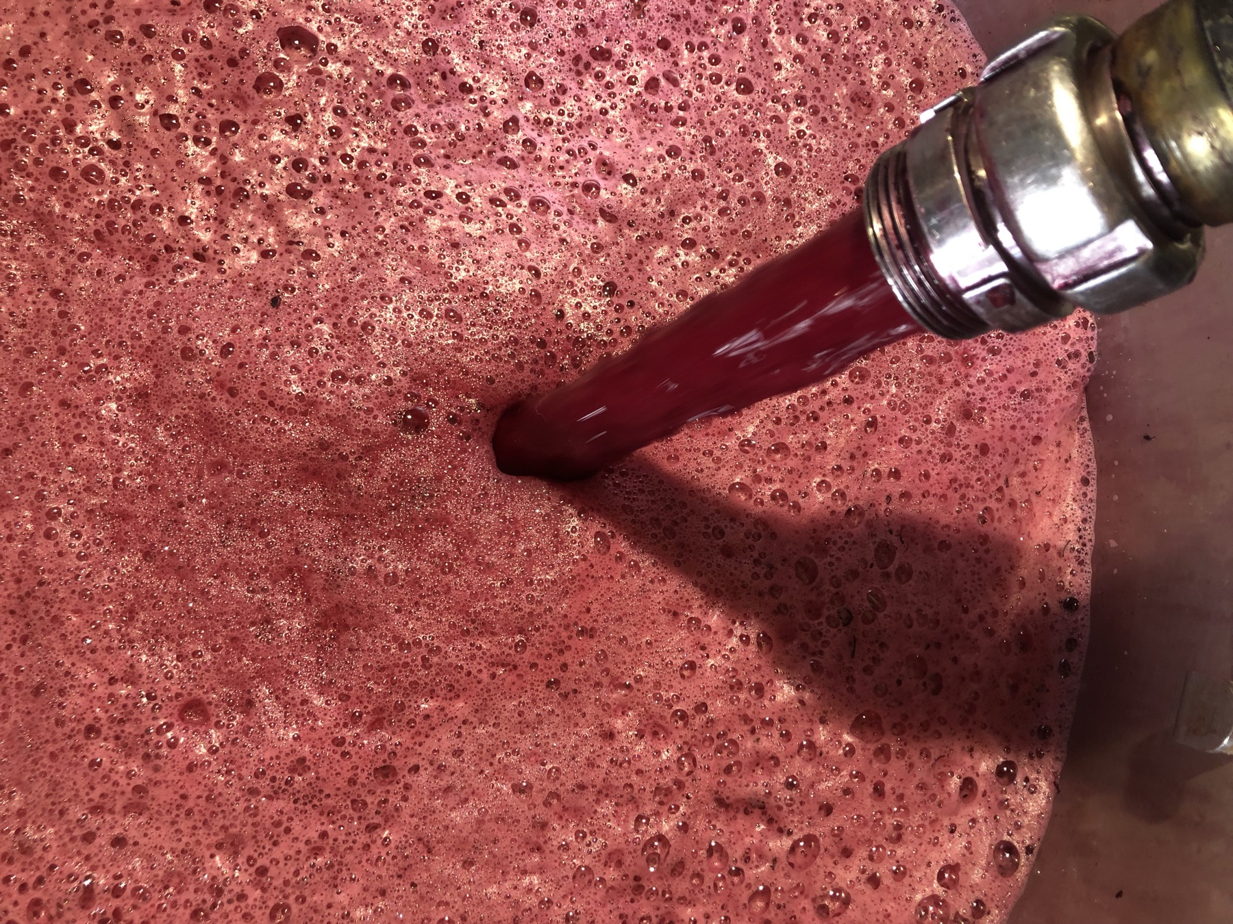 Red wine jetting into foaming must
